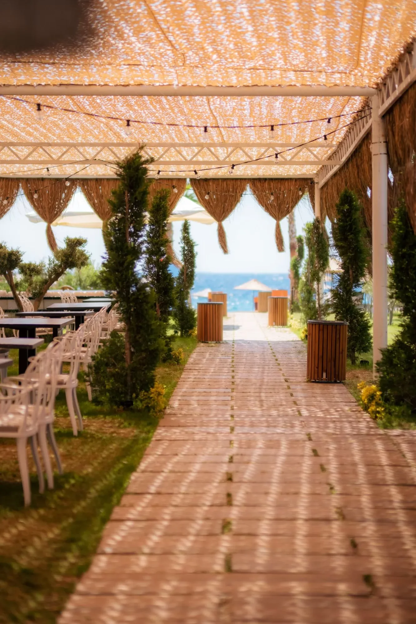 Assos Troy Beach Hotel 5